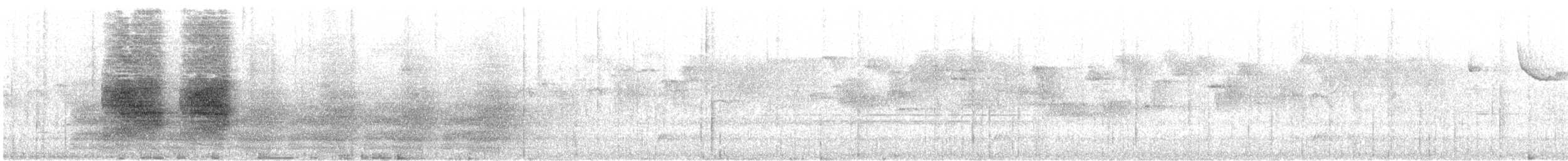 Стеллерова сойка - ML646841395