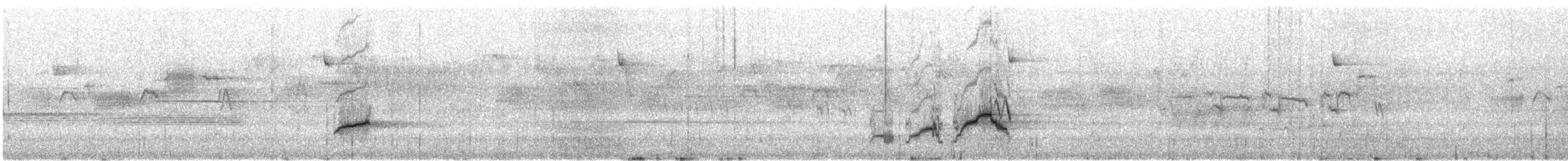 Swainson's Thrush (Russet-backed) - ML646841406