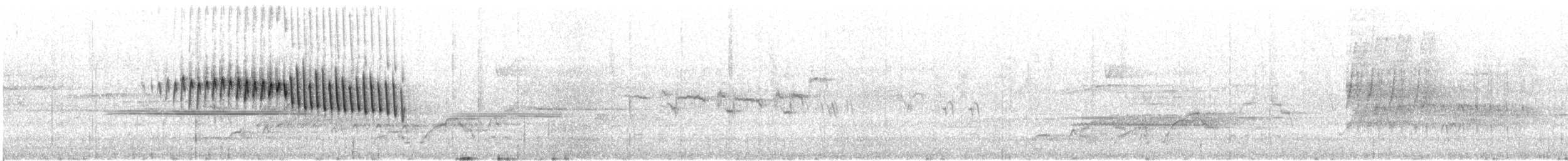 Orange-crowned Warbler - ML646841409