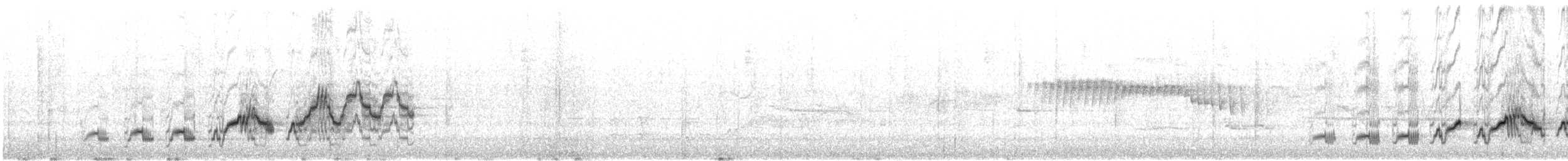 Swainson's Thrush (Russet-backed) - ML646841421