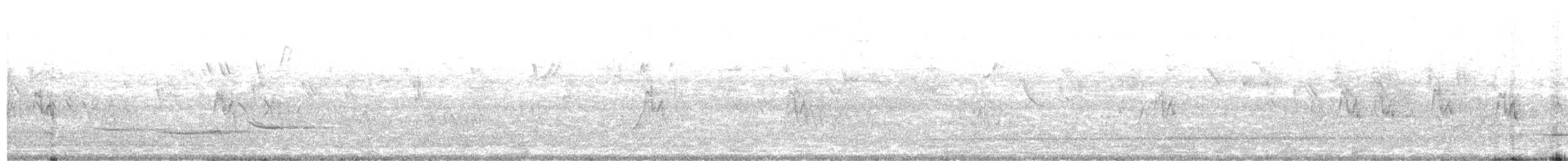 Solitary Tinamou - ML646841701