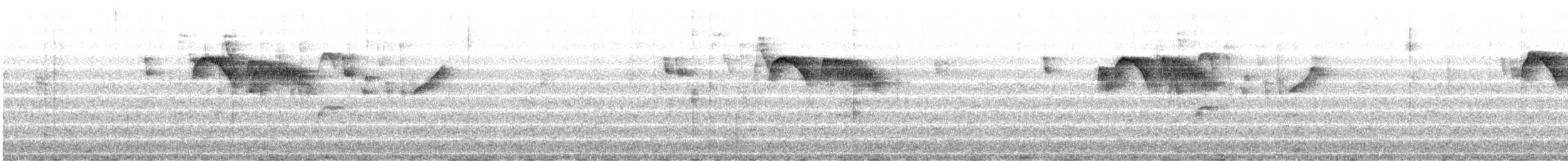 Ashy-headed Tyrannulet - ML646842189