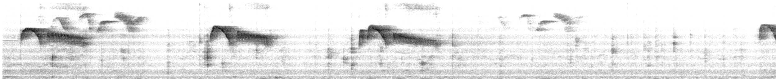 Ashy-headed Tyrannulet - ML646842191