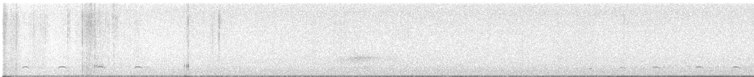 Amerikaschleiereule - ML646842334