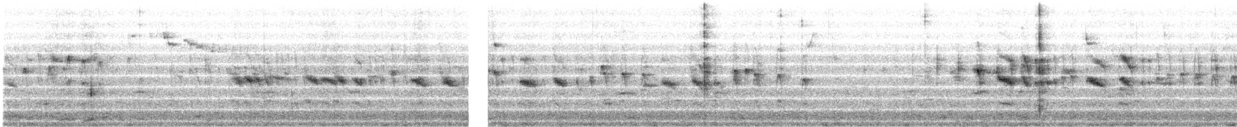 Andean Swift - ML646842641