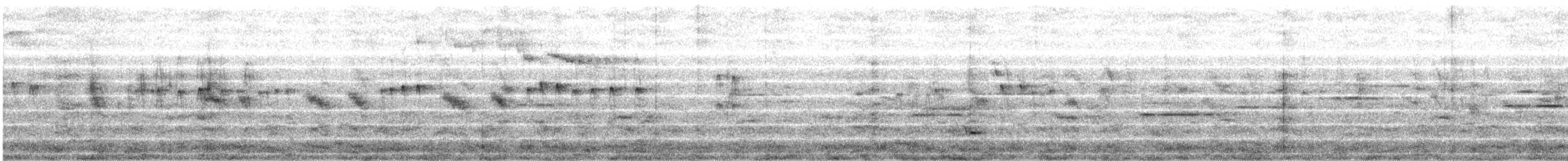 Andean Swift - ML646842642