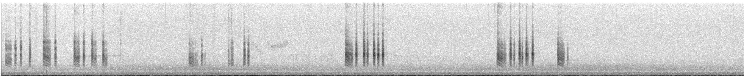 Chochín Criollo Sureño - ML646843231