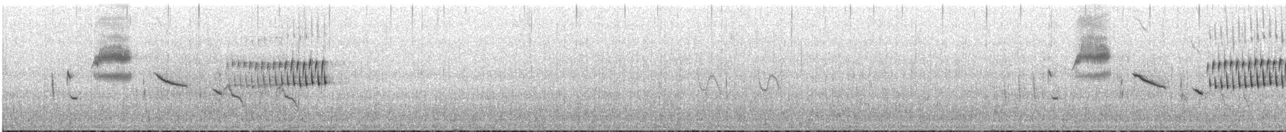 Cucarachero Sabanero - ML646843297