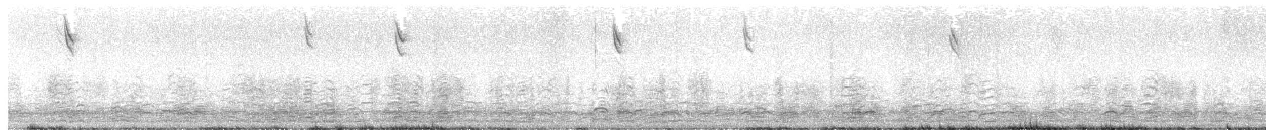 Snow Goose - ML646843314