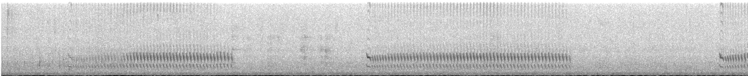 Tschudi's Tapaculo - ML646843367