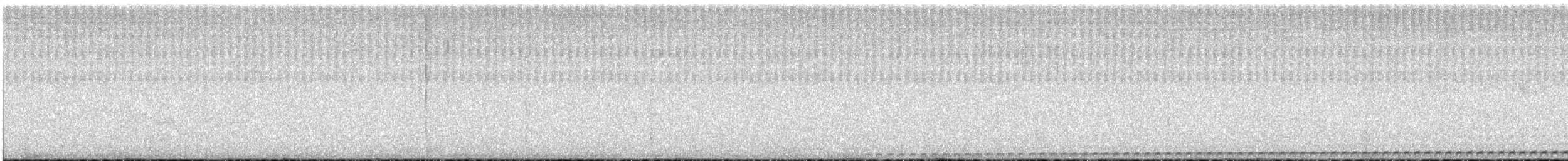 Undulated Antpitta - ML646843369