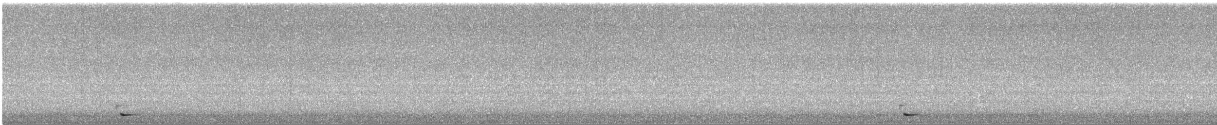 Common Raven - ML646844008