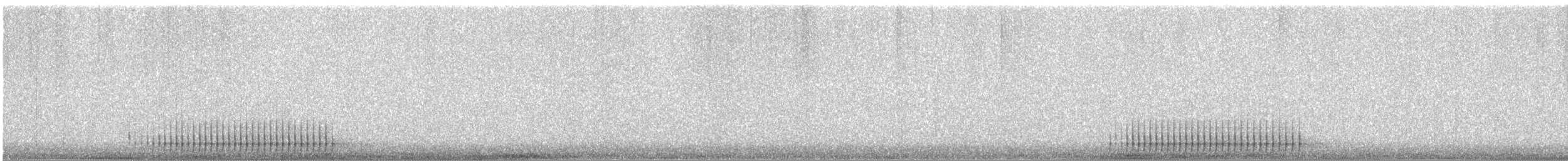 Hairy Woodpecker - ML646844072