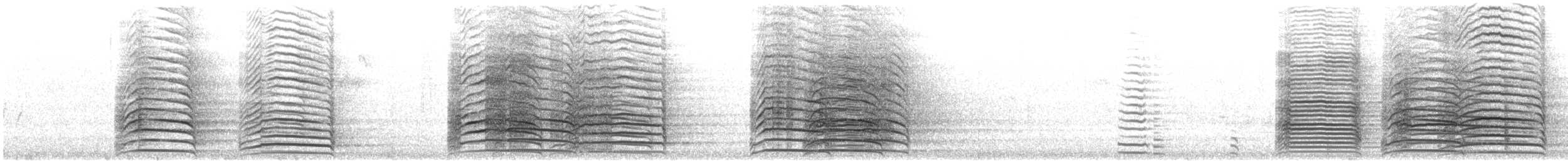 Western Corella - ML646844267