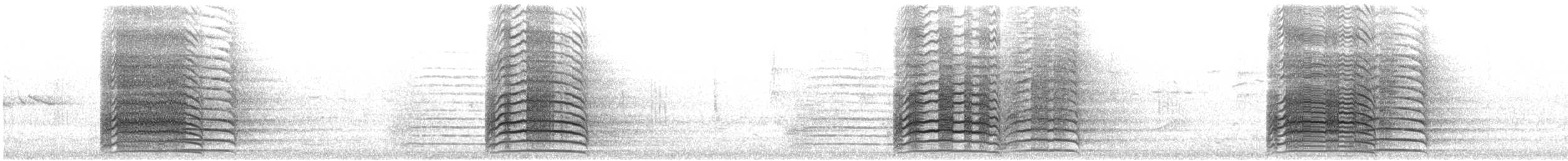 Western Corella - ML646844268