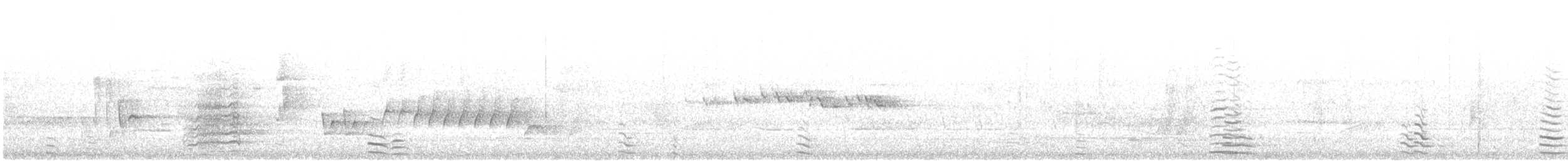 Western Corella - ML646844269