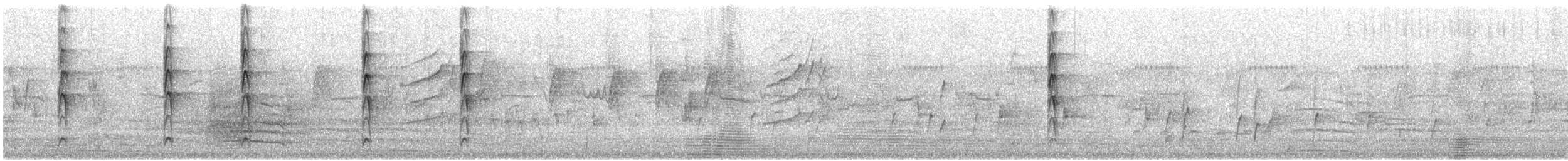 Gray Fantail (preissi) - ML646844275