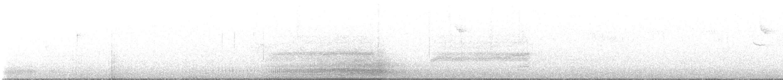 Black-winged Kite - ML646844294