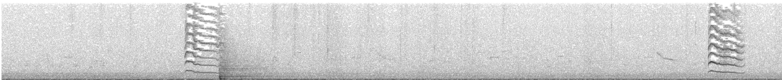 sapsucker sp. - ML646844344