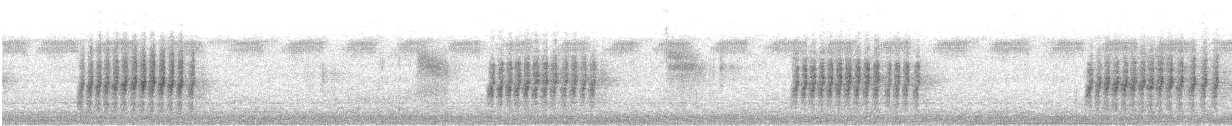 Northern House Wren - ML646844627