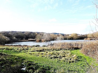 Rodley NR, West Yorkshire, England, United Kingdom - eBird Hotspot