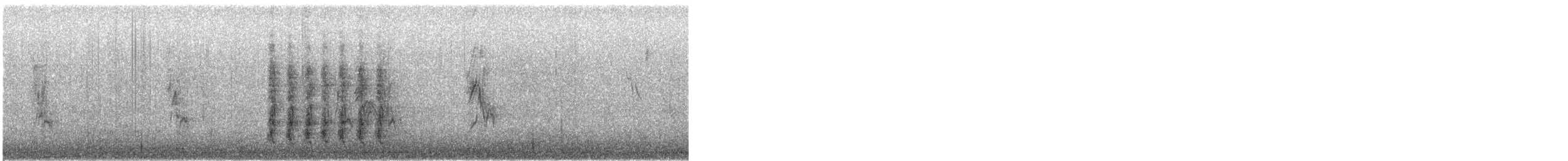 Steller's Jay (Southwest Interior) - ML646845052