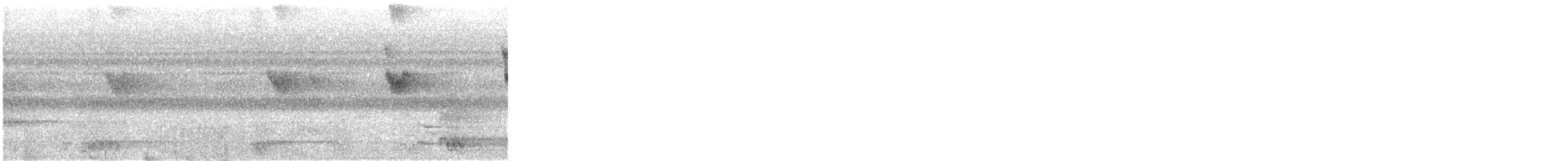 hermit sp. - ML646845635