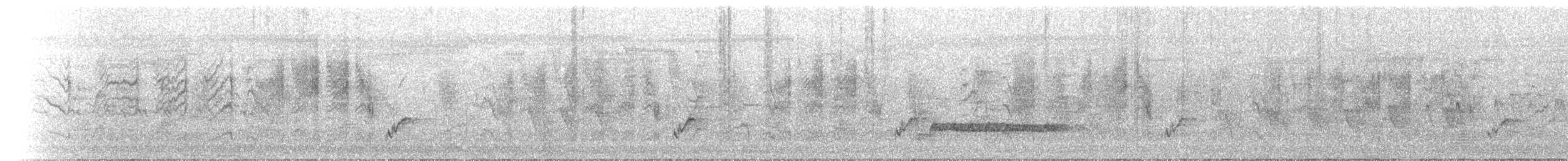 Golden-headed Cisticola - ML646845902