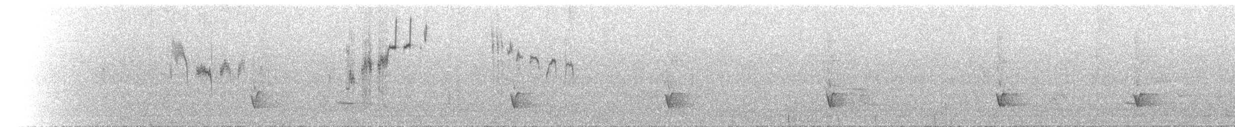 Sahul Cicadabird - ML646845929