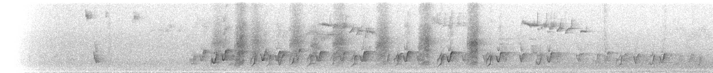 Sahul Cicadabird - ML646845934