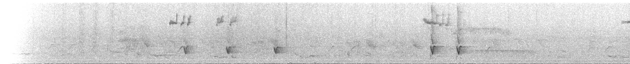 Sahul Cicadabird - ML646845936