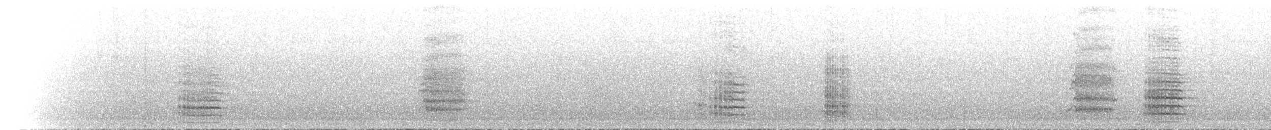 Red-tailed Black-Cockatoo - ML646846128