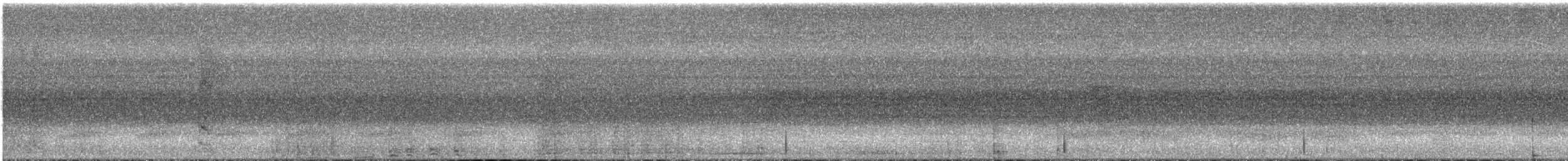 kukačka goliáš - ML646846732