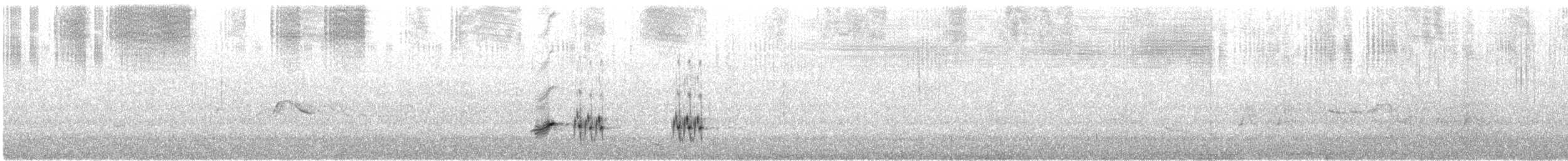 Tawny-crowned Honeyeater - ML646846766