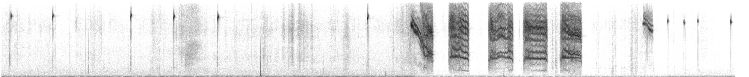 Taçlı Ötleğen (coronata) - ML646846985