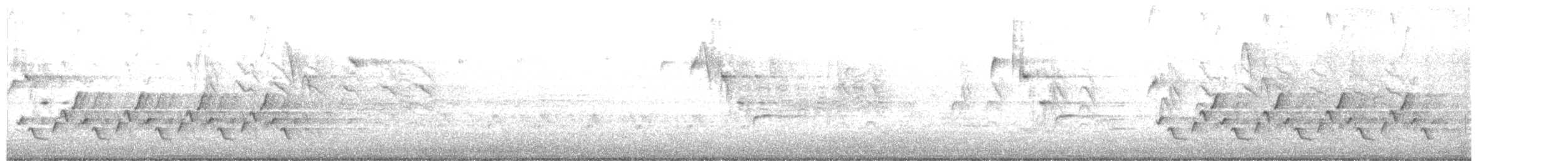 Carolina Wren - ML646846994