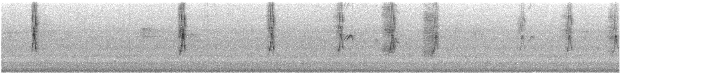 New Holland Honeyeater - ML646847070