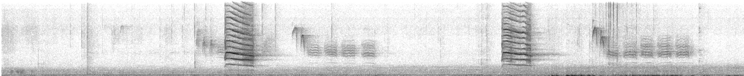 Mavi Karga - ML646847881