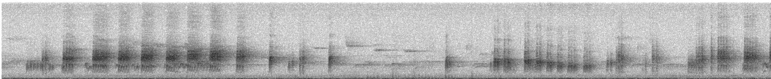 Cabanis's Greenbul (Placid) - ML646848138