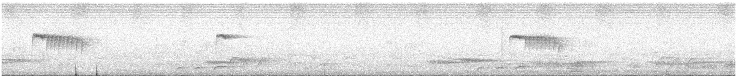 budníček žlutořitý - ML646848152