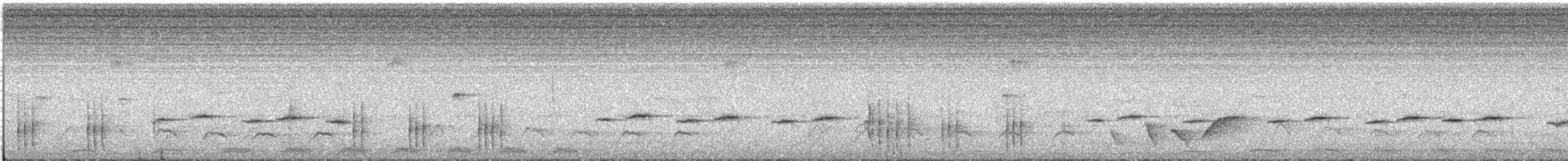 White-starred Robin - ML646848181