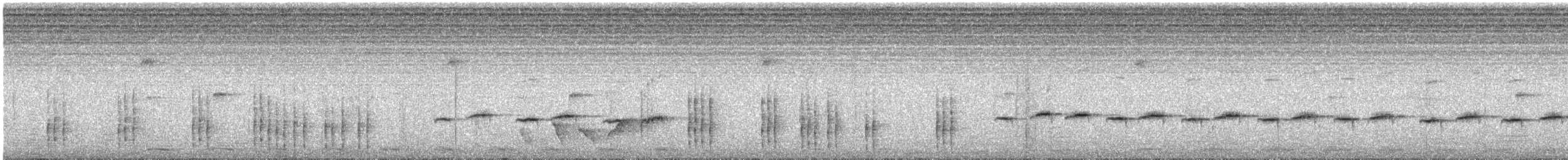 White-starred Robin - ML646848182