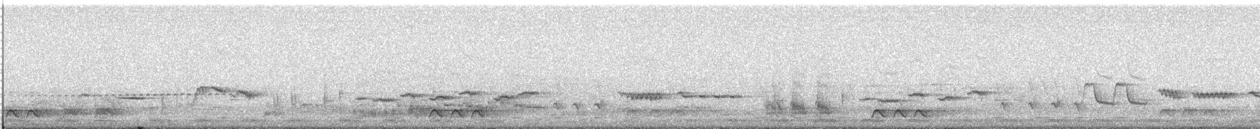 White-starred Robin - ML646848183