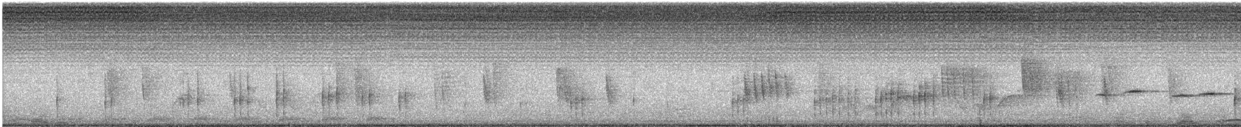 White-starred Robin - ML646848184