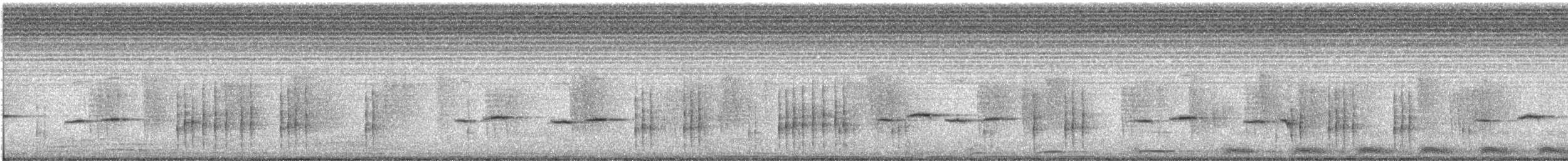 White-starred Robin - ML646848185