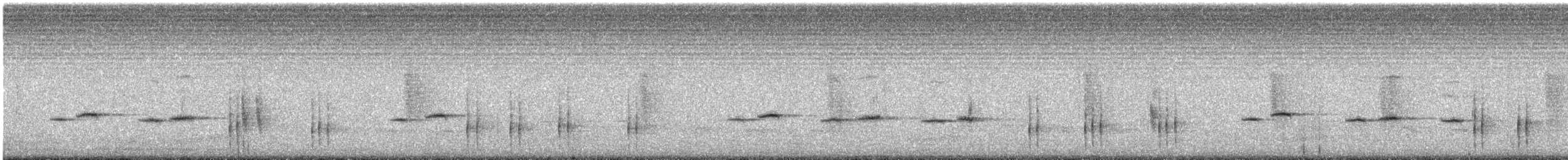 White-starred Robin - ML646848186