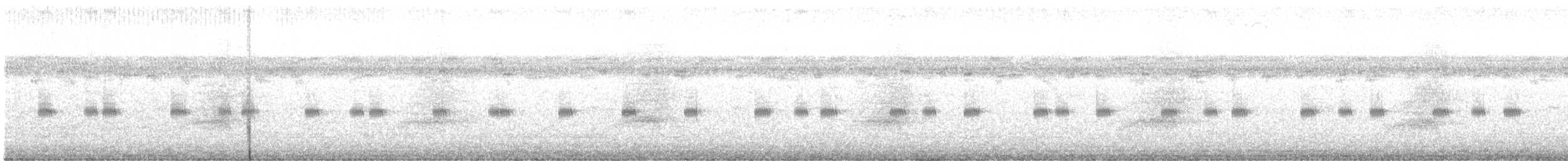 sova americká - ML646848220