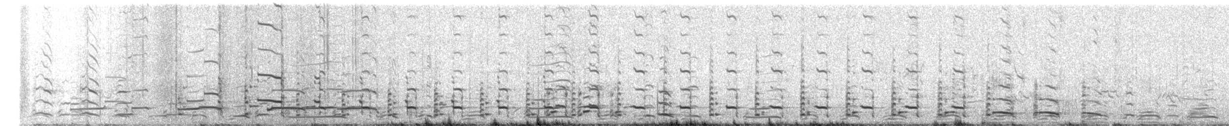 racek americký - ML646848234