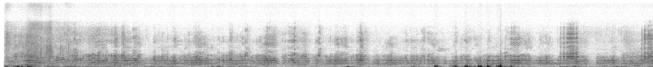 berneška tmavá - ML646848282