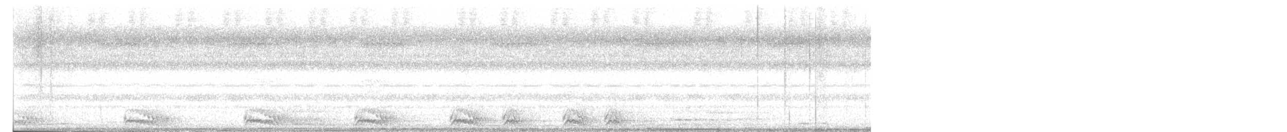 kulíšek indický - ML646848476